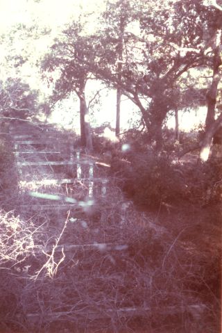 Cahill House, Handsboro, MS