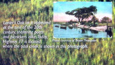Marshes of Glynn