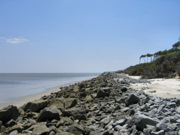Driftwood Beach
