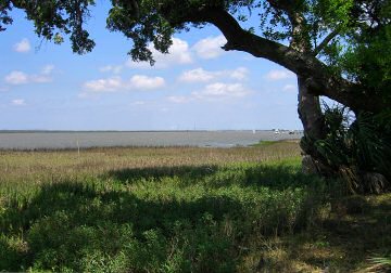 Jekyll River