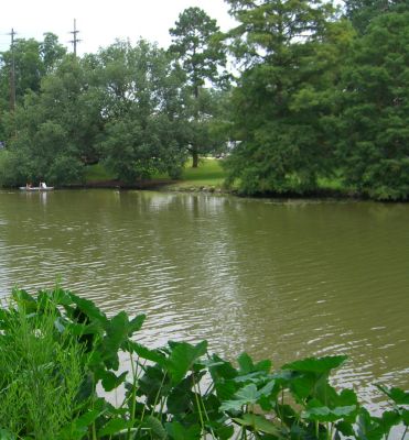 Bayou Teche