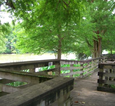 Bayou Teche Boardwalk