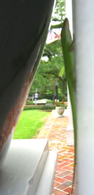 Green in St. Martinville