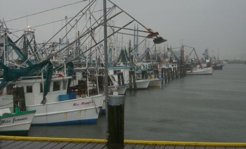Long Beach Marina