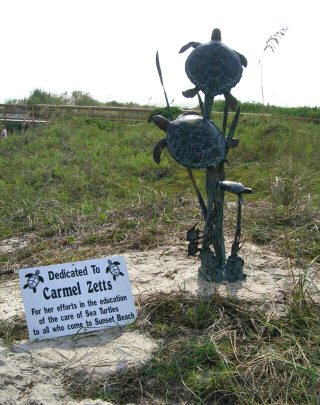 Loggerhead Turtle Sculpture
