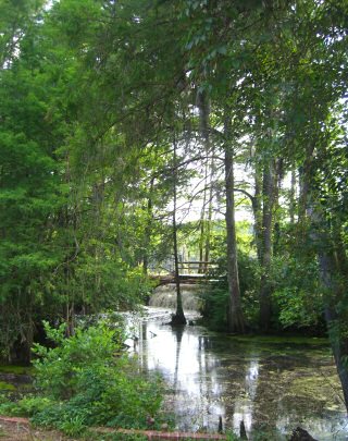 Page's Mill