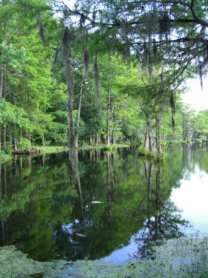 Page's Mill