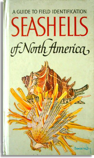 Seashells of North America (Golden Press)