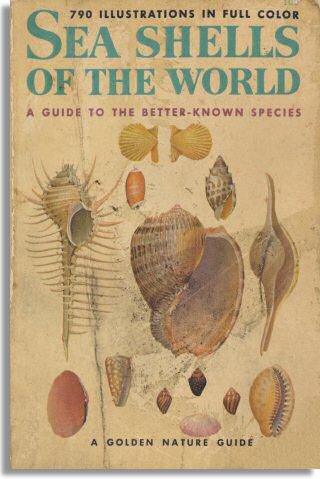 Sea Shells Of The World R Tucker Abbott Ph D