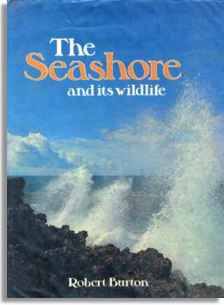 The Seashore and Its Wildlife (G.P. Putnam's Sons)