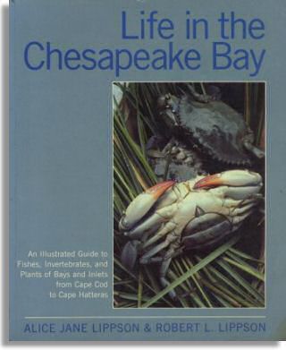 Life in the Chesapeake Bay (Johns Hopkins University Press)