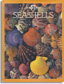 Seashells (W. H. Smith Publishers Inc.)