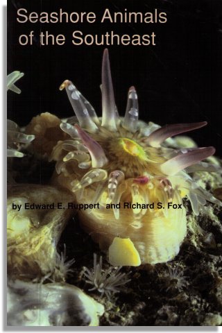 Seashore Animals of the Southeast (University of South Carolina Press)