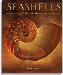 Seashells: Jewels from the Ocean (Voyageur Press)