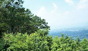 Virginia View