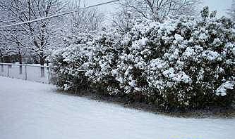 Texas Snow