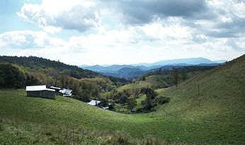 Virginia Dream View