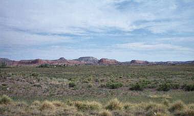 Arizona Desert