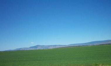 Oregon Countryside