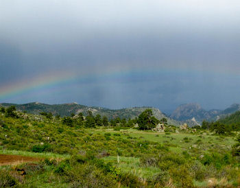 Colorado Rainbow