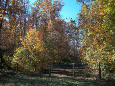 Alabama countryside