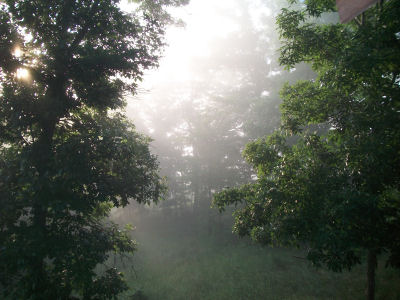 Arkansas foggy morning