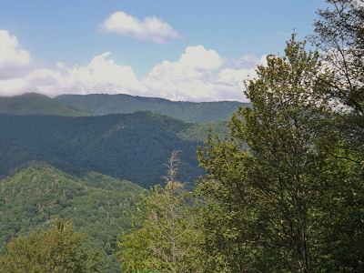 Tennessee Scenic View